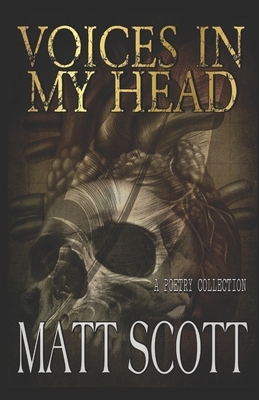 Voices In My Head by Matt Scott, Terror Tract