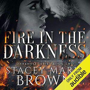 Fire in the Darkness by Stacey Marie Brown