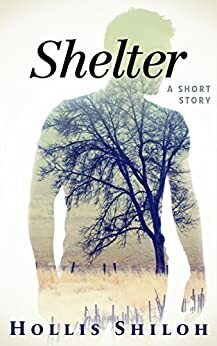 Shelter by Hollis Shiloh