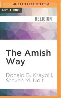 The Amish Way: Patient Faith in a Perilous World by Steven M. Nolt, Donald B. Kraybill