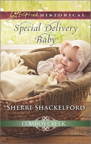 Special Delivery Baby by Sherri Shackelford