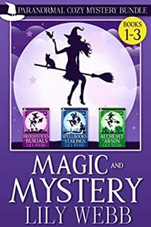 Magic and Mystery: Bundle Book 1 by Lily Webb