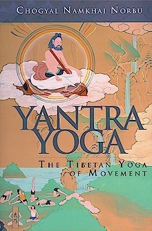 Yantra Yoga: The Tibetan Yoga of Movement: A Stainless Mirror of Jewels: A Commentary on Vairocana's the Union of the Sun and Moon Yantra by Andrew Lukianowicz, Adriano Clemente, Laura Evangelisti, Namkhai Norbu