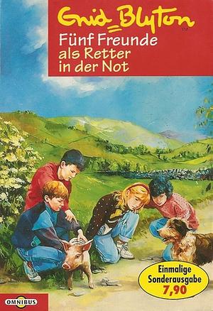 Fünf Freunde als Retter in der Not by Enid Blyton