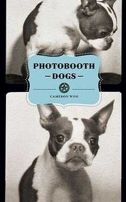 Photobooth Dogs by Cameron Woo