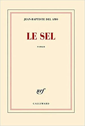Le Sel by Jean-Baptiste Del Amo