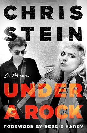 Under a Rock by Chris Stein