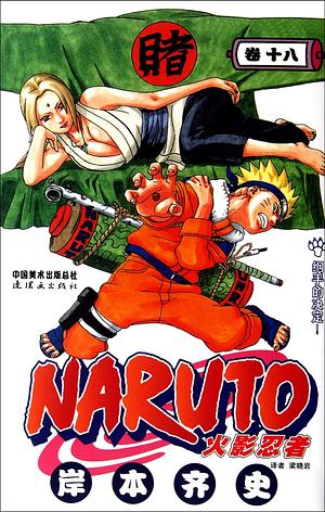 Naruto Volume 18 by Masashi Kishimoto