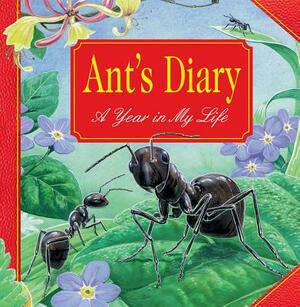 Ant's Diary: A Year in My Life by Tim Hayward, Robin Carter, Adam Stower