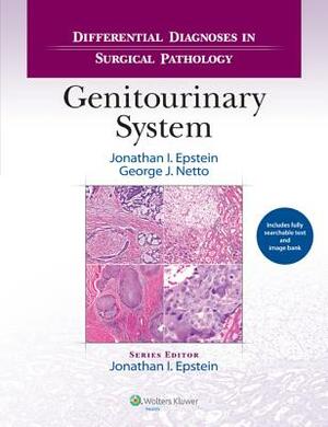 Differential Diagnoses in Surgical Pathology: Genitourinary System by Jonathan I. Epstein, George J. Netto