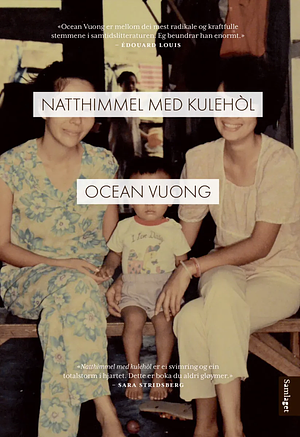 Natthimmel med kulehòl by Ocean Vuong