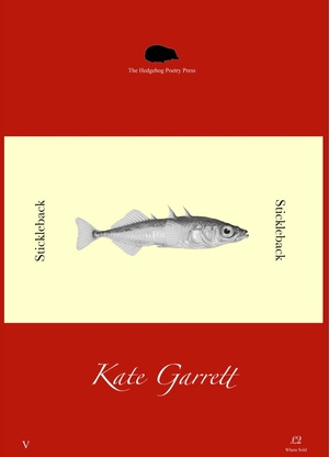 A Spotlight on Kate Garrett by Kate Garrett