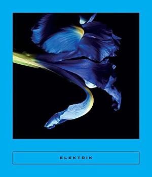 Elektrik: Caribbean Writing by Mireille Jean-Gilles, Mireille Jean-Gilles, Gaël Octavia, Fabienne Kanor