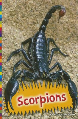 Scorpions by Elizabeth Raum