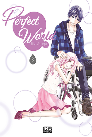 Perfect World, Vol. 3 by Rie Aruga