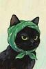 levelofconcern's profile picture