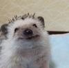 smileysam's profile picture