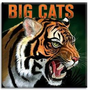 Big Cats by Christina Wald, Donna H. Bowman