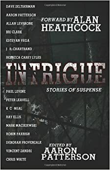 Intrigue by Peter Leavell, Dave Zeltserman, Vincent Zandri, J.R. Chartrand, Rebecca Carey Lyles, Chris White, Alllan Leverone, Aaron M. Patterson, Robin Parrish, Paul Levine, K.C. Neal, Bri Clark, Ray Ellis, Deborah Provenzale, Alan Heathcock, Mark Maciejewski, Estevan Vega