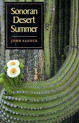 Sonoran Desert Summer by John Alcock