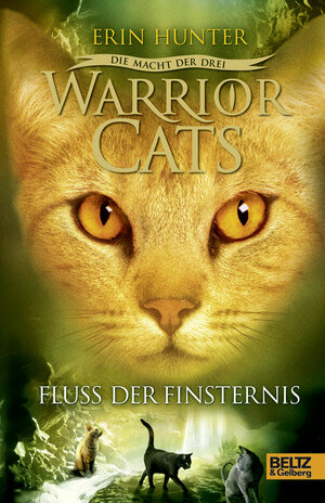 Der Fluss der Finsternis by Erin Hunter