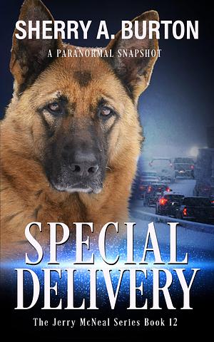 Special Delivery by Sherry A. Burton