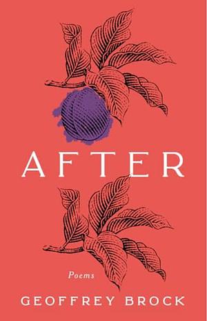 After by Geoffrey Brock