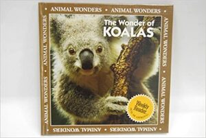 The Wonder of Koalas by Patricia Lantier-Sampon, Kathy Feeney
