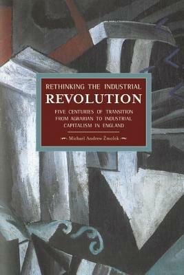 Rethinking the Industrial Revolution: Five Centuries of Transition from Agrarian to Industrial Capitalism in England by Michael Andrew Zmolek