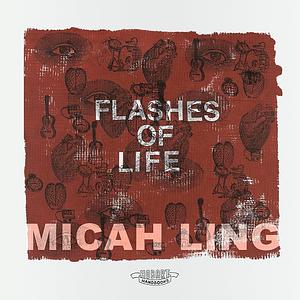 Flashes of Life by Micah Ling