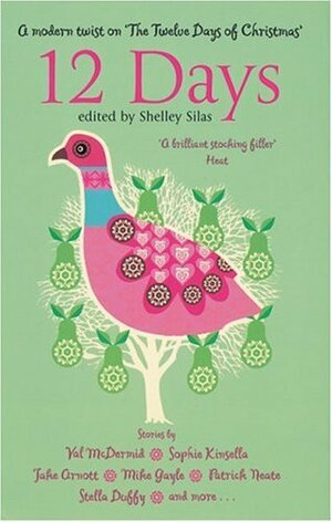 12 Days: A Modern Twist on The Twelve Days of Christmas by Shelley Silas