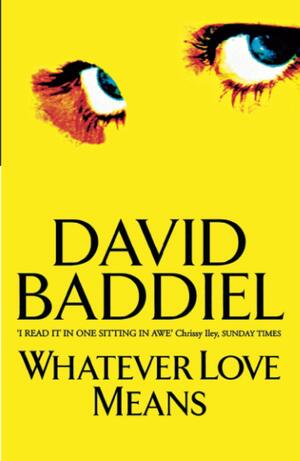 Whatever Love Means by David Baddiel