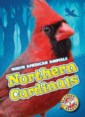 Northern Cardinals by Megan Borgert-Spaniol