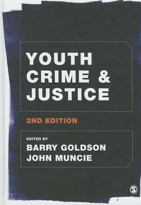 Youth Crime and Justice by 