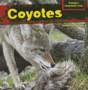 Coyotes by Emma Carlson Berne