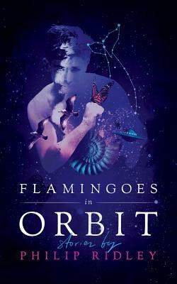 Flamingoes in Orbit by Philip Ridley