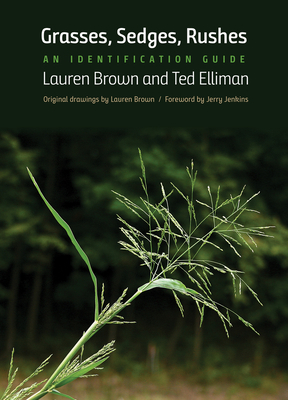 Grasses, Sedges, Rushes: An Identification Guide by Ted Elliman, Lauren Brown