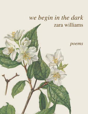 We Begin in the Dark by Zara Williams