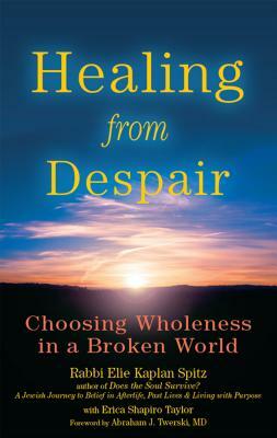 Healing from Despair: Choosing Wholeness in a Broken World by Elie Kaplan Spitz