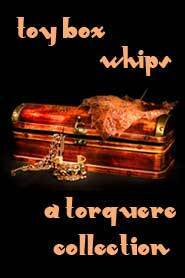 Toy Box: Whips by Margaret Leigh, Meg Leigh, M. Rode, Vic Winter, Willa Okati