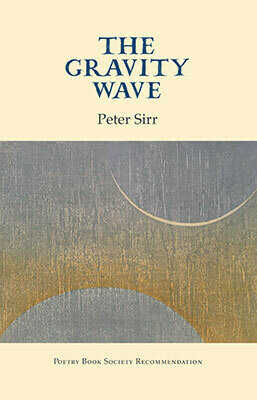 The Gravity Wave by Peter Sirr