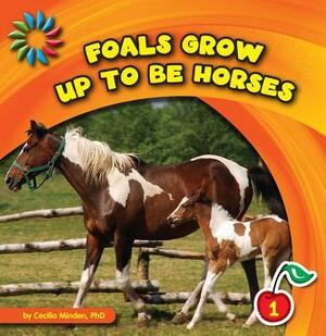 Foals Grow Up to Be Horses by Cecilia Minden
