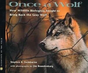 Once A Wolf: How Wildlife Biologists Fought to Bring Back the Gray Wolf by Stephen R. Swinburne, Jim Brandenburg