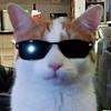 hailikara's profile picture