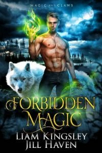 Forbidden Magic by Jill Haven, Liam Kingsley