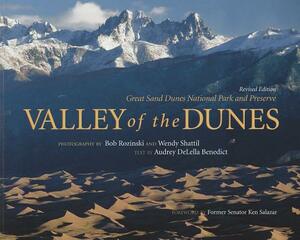 Valley of the Dunes by Audrey Delella Benedict