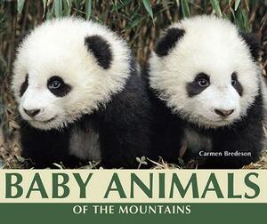 Baby Animals of the Mountains by Carmen Bredeson