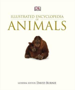 Illustrated Encyclopedia of Animals by David Burnie