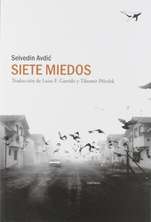 Siete miedos by Selvedin Avdić