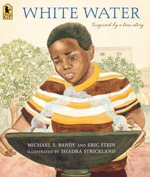 White Water by Eric Stein, Michael S. Bandy